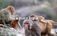 属猴的桃花劫是哪一年 属猴的桃花劫是谁是属猪的吗