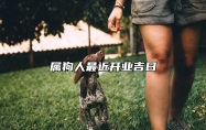 属狗人最近开业吉日 适合新店开张吗