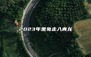 2023年黑兔走入青龙 推背图的出处