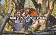 属虎人2026年运势运程 属虎人2026年走大运
