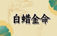 白蜡金命适合戴黄金吗 白蜡金命女适合什么颜色