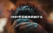 1981年石榴木命缺什么 81年属鸡二次婚姻在几岁