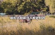 属蛇人和属马人相处好吗 属蛇跟属马的人