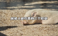 属猪人最吃香的三个职业 属猪的人最适合什么工作