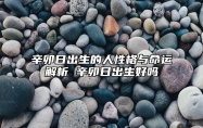 辛卯日出生的人性格与命运解析 辛卯日出生好吗