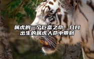 属虎的三个巨富之命，几月出生的属虎人命中带财 属虎的人生于几月,命最好,一生大财最多