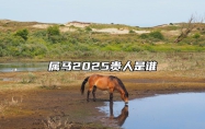 属马2025贵人是谁 属马的财运贵人是谁