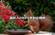 属蛇人2025年财运如何 属蛇之人一生运气如何