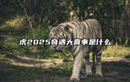 虎2025奇遇大喜事是什么 生肖虎2025年运势及运程