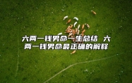 六两一钱男命一生总结 六两一钱男命最正确的解释