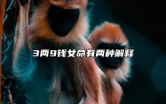 3两9钱女命有两种解释 顺其自然安心落意即可
