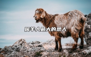 属羊人最大的恩人 属羊人最大的恩人是什么