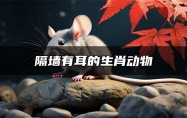 隔墙有耳的生肖动物 隔墙有耳的生肖是什么