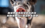 属猪男最有默契的生肖女，和属猪男缘分最深的生肖女 属猪的男生和属猪的女生婚姻怎么样
