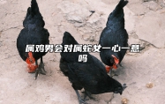 属鸡男会对属蛇女一心一意吗 鸡男蛇女谁更爱对方