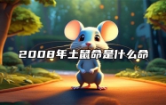 2008年土鼠命是什么命