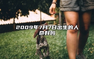 2009年7月7日出生的人命好吗 此日不同时辰八字运势分析