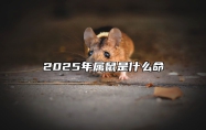 2025年属鼠是什么命 2025年属鼠人各出年年份运势
