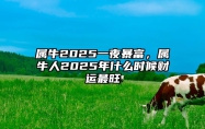 属牛2025一夜暴富，属牛人2025年什么时候财运最旺 属牛的人2025年的运势及运程