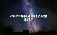 2023年属兔的几个月出生好命 2023年属兔的几个月出生好啊