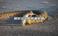 属蛇什么时辰最聪明 属蛇大富大贵的时辰