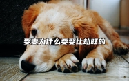 娶妻为什么要娶比劫旺的？