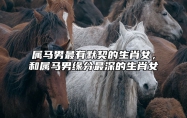 属马男最有默契的生肖女，和属马男缘分最深的生肖女 属马的男生与属马的女生