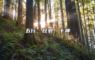 五行、旺衰、十神 十神 旺衰