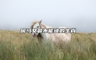 属马女最不能碰的生肖 属马女最忌讳婚配生肖是什么?