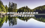 属鸡开什么店最合适？生肖鸡2023年适宜创业吗