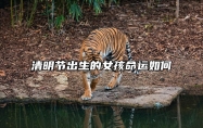 清明节出生的女孩命运如何 清明节出生有什么说法