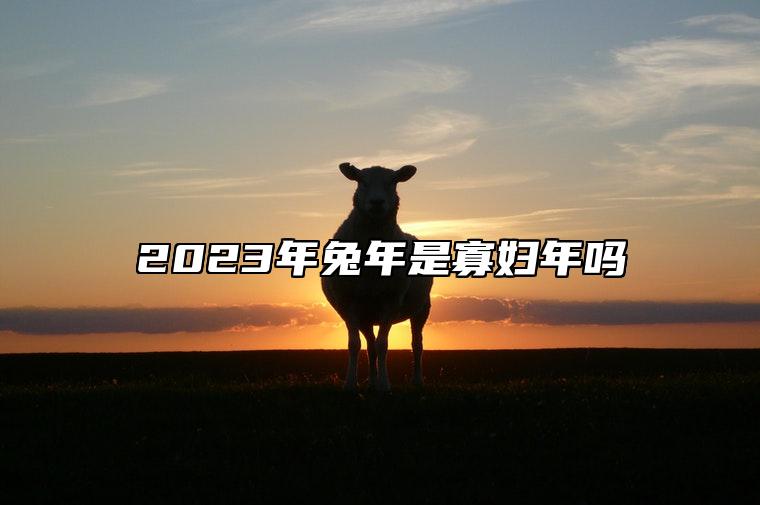 2023年兔年是寡妇年吗 癸卯年是双春年