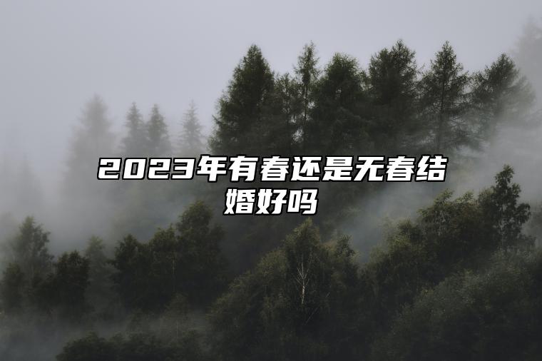 2023年有春还是无春结婚好吗 双春年结婚会结两次吗