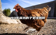 93年属鸡的子女缘如何 93年属鸡子女运