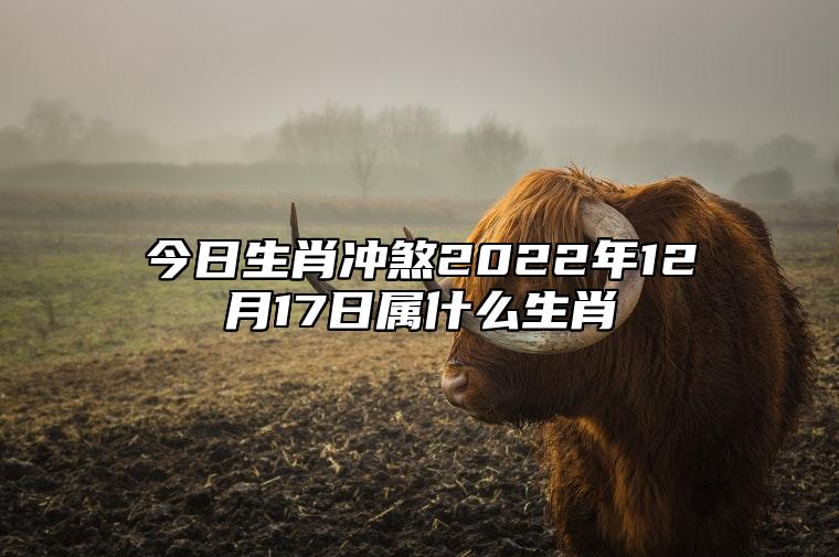 今日生肖冲煞2022年12月17日属什么生肖 冲什么生肖