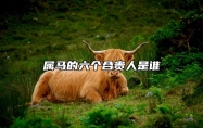 属马的六个合贵人是谁