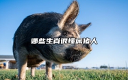 哪些生肖很懂属猪人 什么生肖属猪