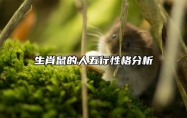生肖鼠的人五行性格分析