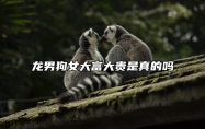 龙男狗女大富大贵是真的吗 龙男狗女怎么化解