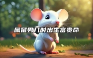 属鼠男几时出生富贵命