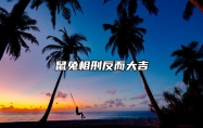 鼠兔相刑反而大吉 属鼠怀了兔宝宝怎么办
