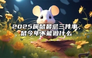 2025属鼠最忌三件事，鼠今年不能做什么 属鼠的2025年财运各方面怎么样?