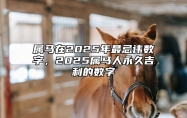 属马在2025年最忌讳数字，2025属马人永久吉利的数字 属马人2025年全年运势详解