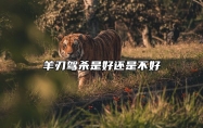 羊刃驾杀是好还是不好 羊刃驾杀格局行运喜忌