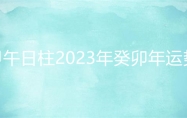 甲午日柱2023年癸卯年运势 甲午日柱走什么大运好