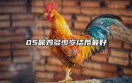 05属鸡多少岁结婚最好 05属鸡的注定婚姻