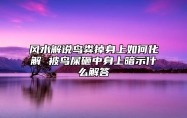 风水解说鸟粪掉身上如何化解 被鸟屎砸中身上暗示什么解答