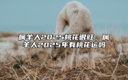 属羊人2025桃花很旺，属羊人2025年有桃花运吗 属羊在2025年运势怎么样