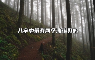 八字中带有两个沐浴好吗 八字有沐浴代表什么