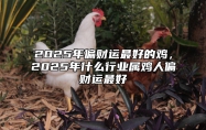 2025年偏财运最好的鸡，2025年什么行业属鸡人偏财运最好 2025年什么生肖财运好